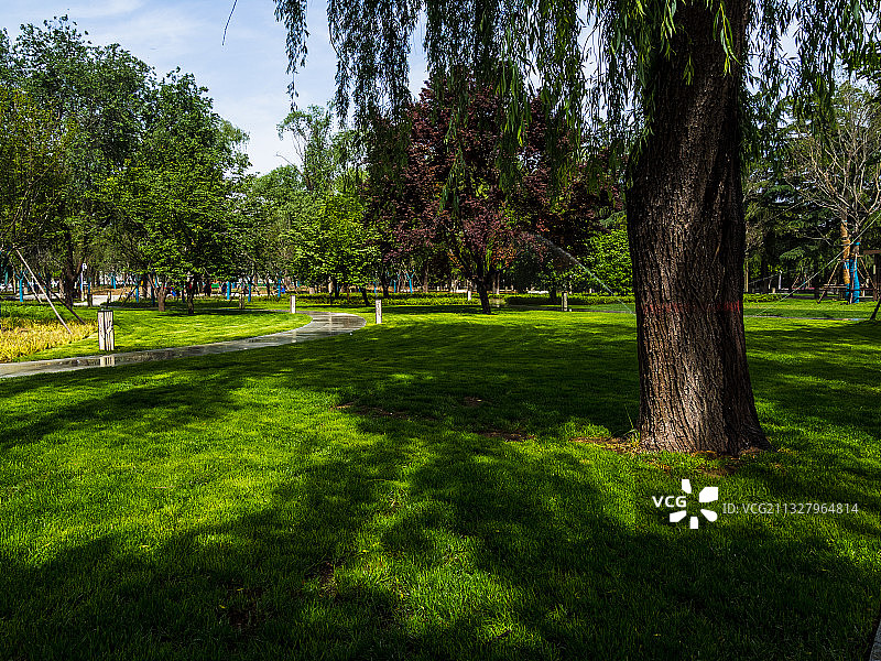 河南省郑州市惠济区古树苑图片素材