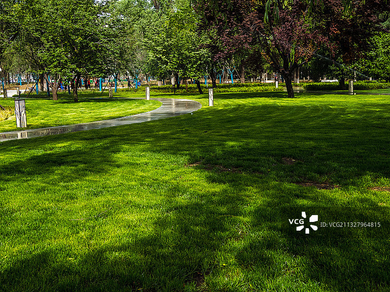 河南省郑州市惠济区古树苑图片素材