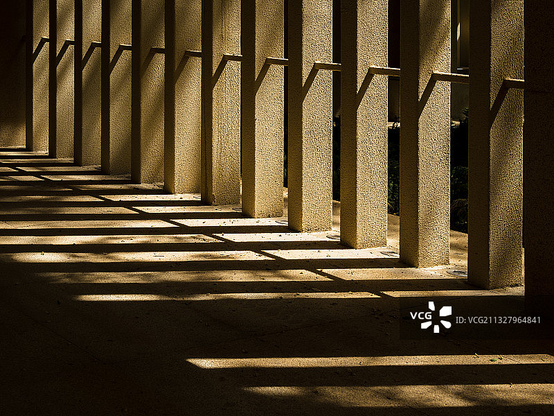 河南省郑州市惠济区古树苑图片素材