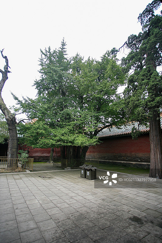 曲阜孔庙景观图片素材