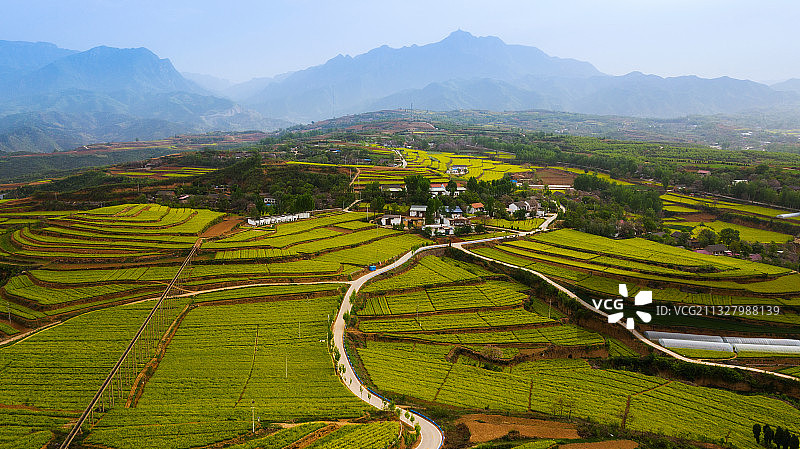 春色满园图片素材