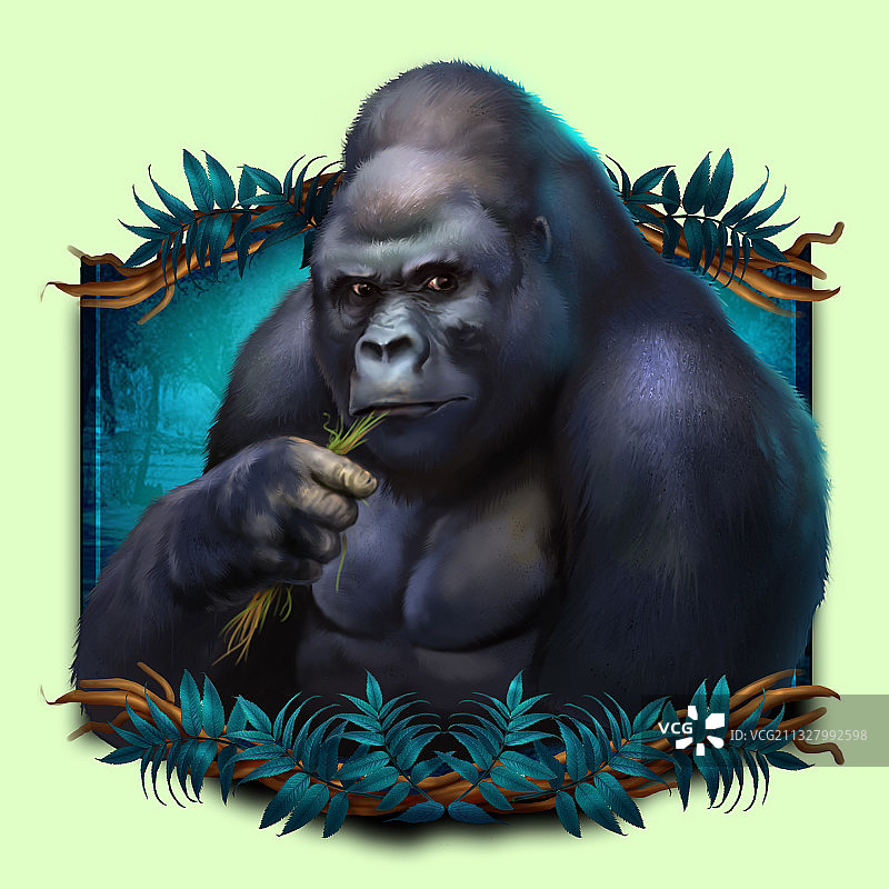【大猩猩】黑猩猩野生动物头像科普系列图片素材