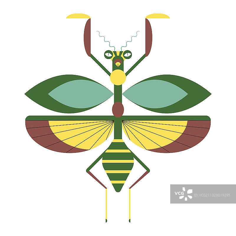 几何扁平风格螳螂图标图片素材