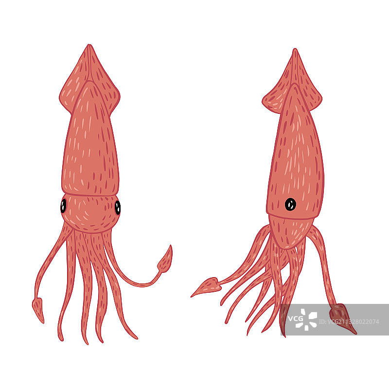 白色背景卡通鱿鱼合集图片素材