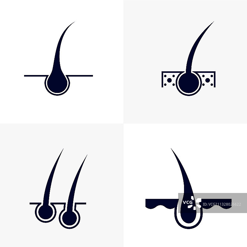 毛囊标志设计模板器官套装图片素材