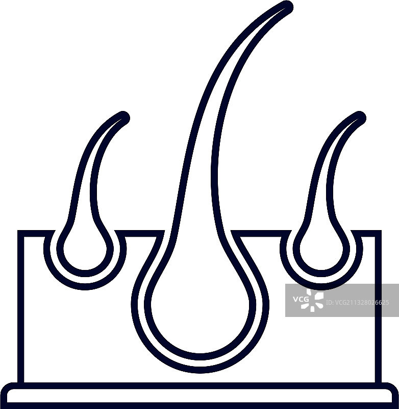 毛囊Logo设计模板图片素材
