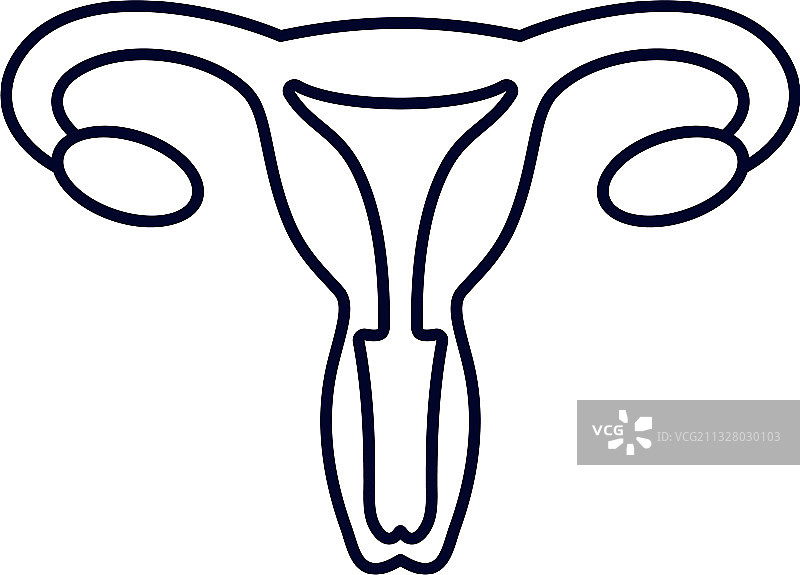 女性生殖器官标志设计模板图片素材