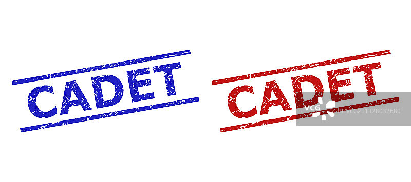 带有腐蚀表面和平行的学员印章图片素材