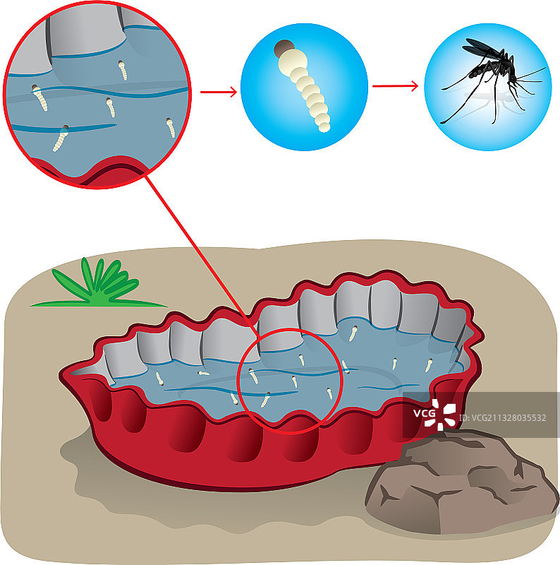 有积水的瓶盖，吸引蚊子产卵图片素材