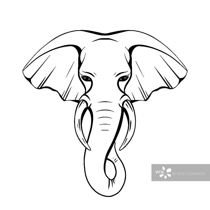 长牙野象头轮廓图片素材