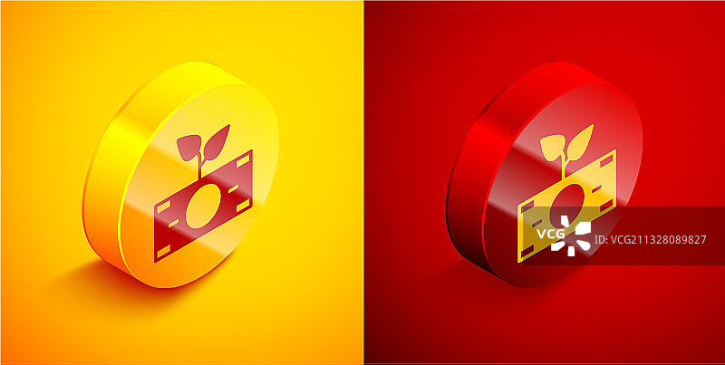 2.5D盆栽摇钱树图标图片素材