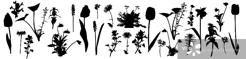 不同花卉和杂草剪影图片素材