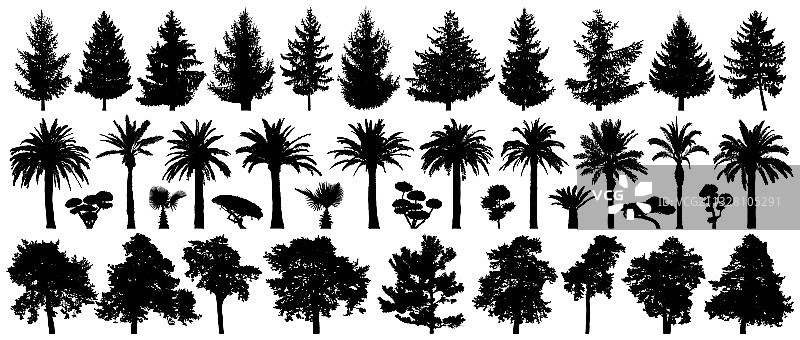 孤立的森林背景树木图片素材