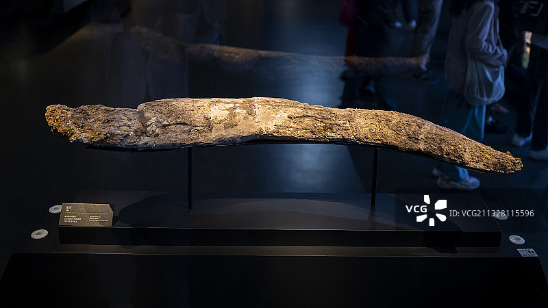 三星堆之象牙图片素材