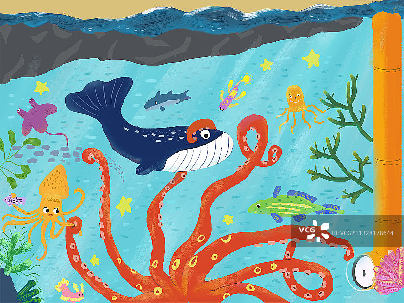 海洋世界图片素材