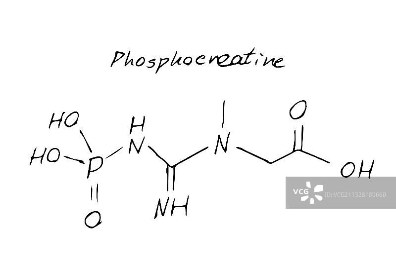 磷酸肌酸化学分子式手绘图片素材