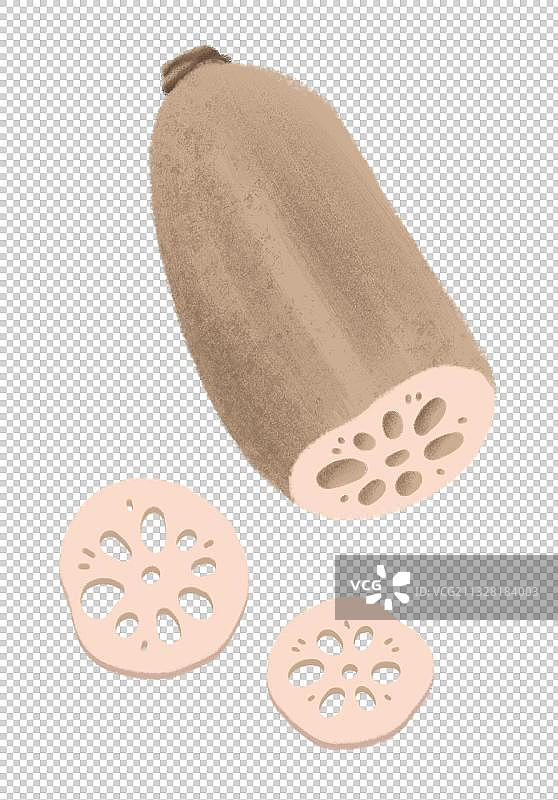 手绘风格莲藕图片素材