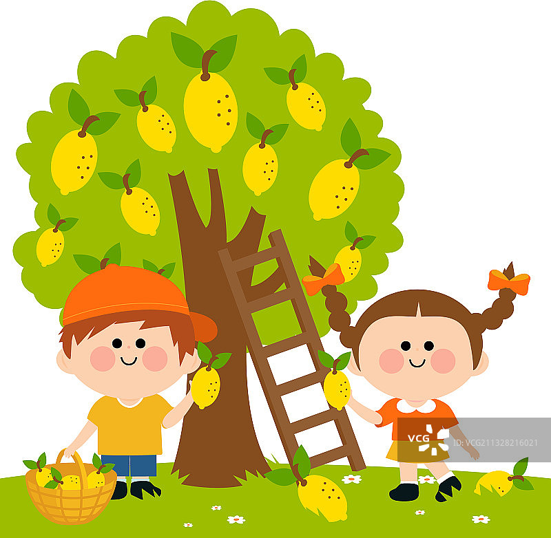 孩子们在柠檬树下摘柠檬图片素材