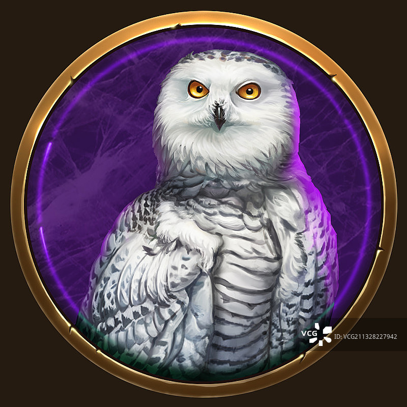 猫头鹰-精美野生动物头像徽章图片素材