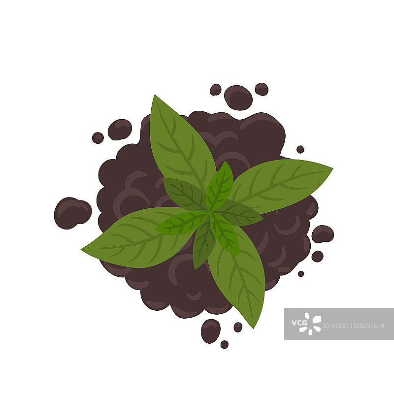 用于种植和植物发芽的土壤图片素材