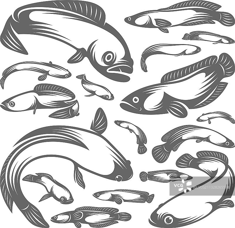 鱼类软木创意标志设计图片素材