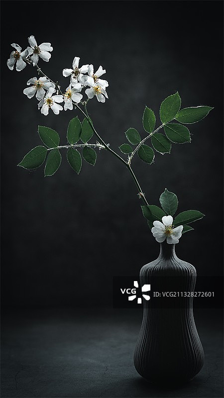 中国风禅意插花图片素材