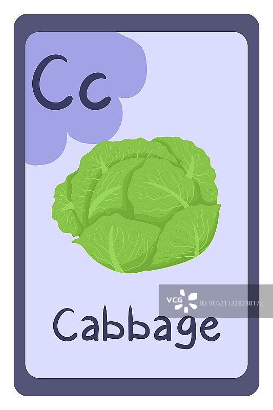 教育抽认卡ABC字母C - 卷心菜图片素材