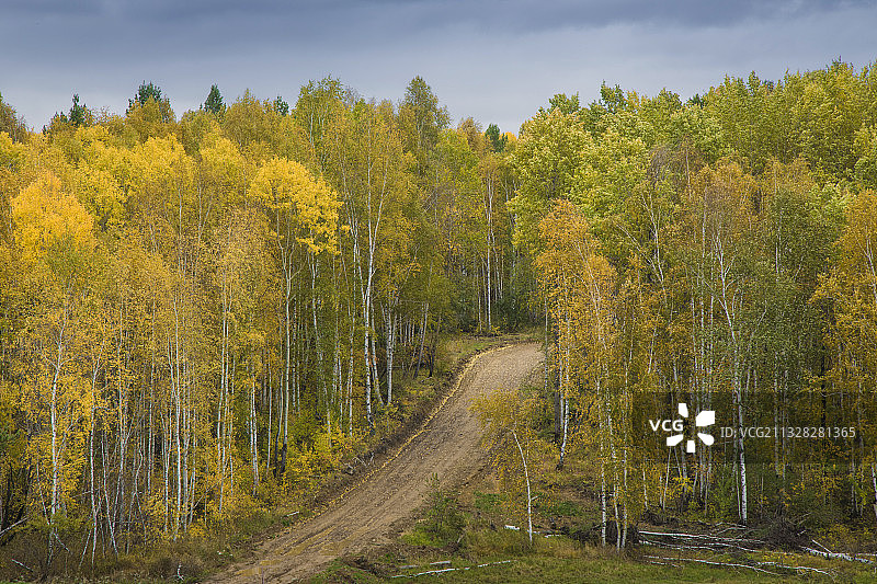 俄罗斯伊尔库茨克的秋天图片素材