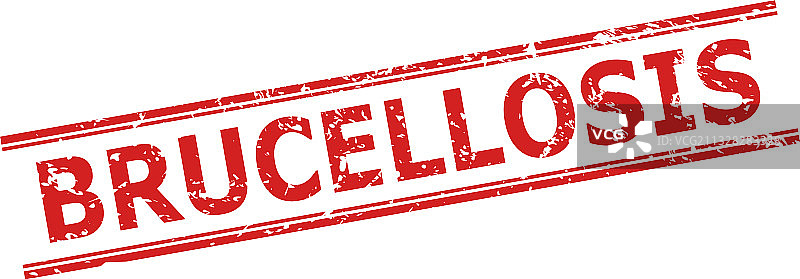 布鲁氏菌病印章，不洁风格和双重效果图片素材