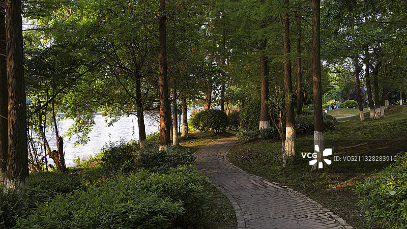 夕阳下的河畔公园图片素材