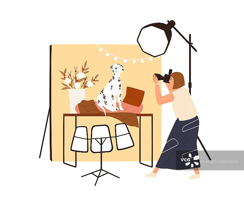 摄影师在工作室给狗拍照图片素材
