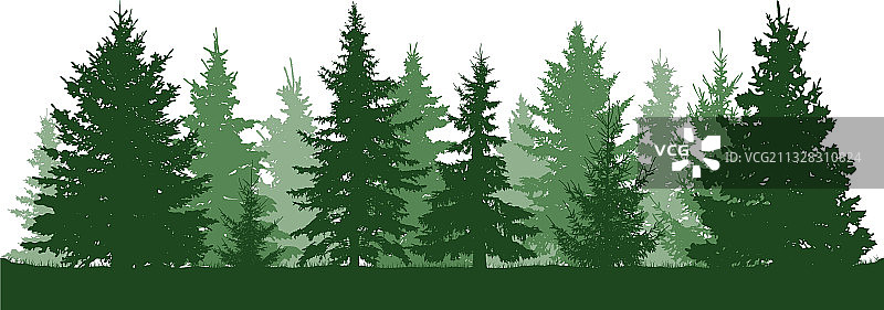 森林冷杉树剪影绿色图片素材