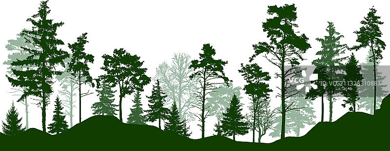 绿色针叶树森林轮廓图片素材