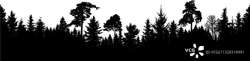 森林轮廓苏格兰冷杉圣诞树图片素材