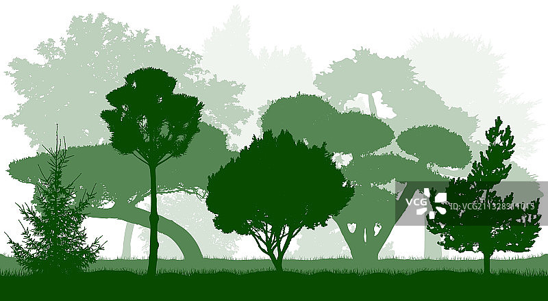 植物园观赏树木剪影图片素材