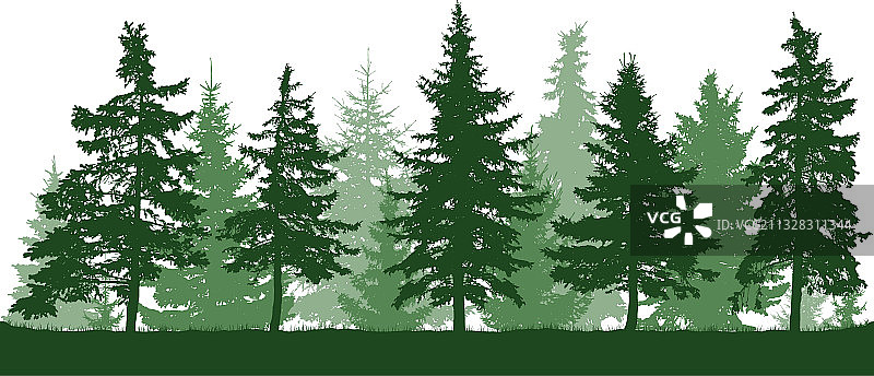 无缝森林冷杉树剪影圣诞节图案图片素材