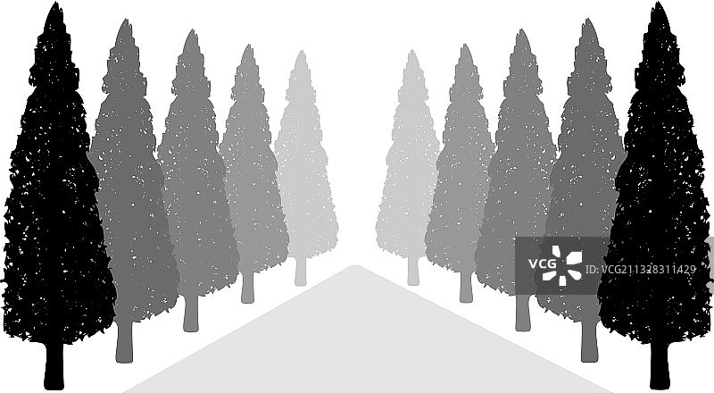 沿道路轮廓的装饰树图片素材