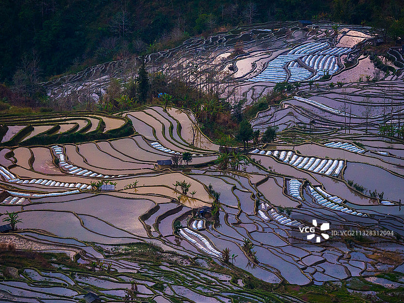 傍晚的中国云南省红河州元阳县元阳哈尼梯田图片素材