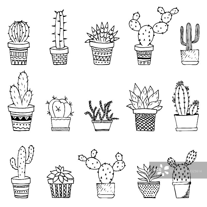 盆栽仙人掌和多肉植物涂鸦图片素材