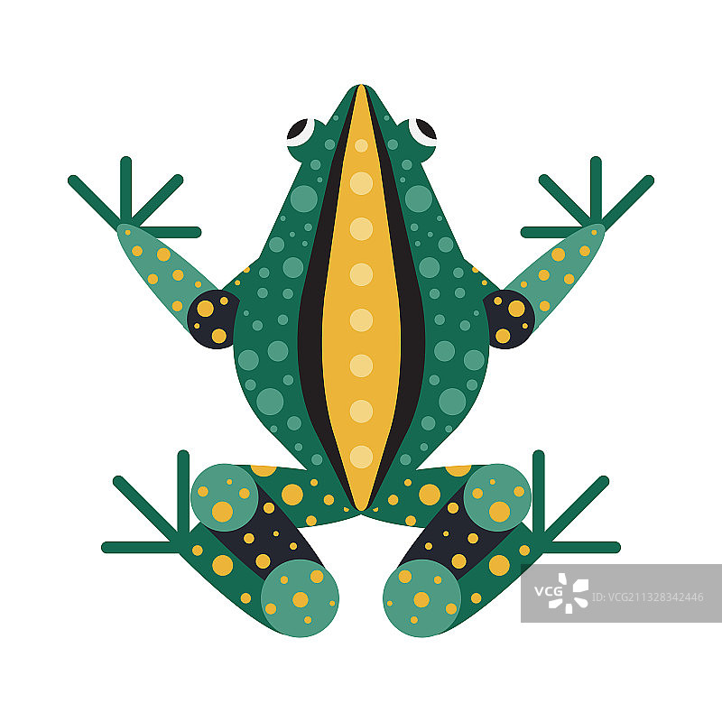 扁平风格的热带几何毒蛙图片素材
