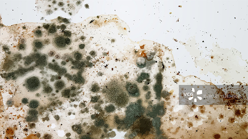 墙上的黑色霉菌图像图片素材