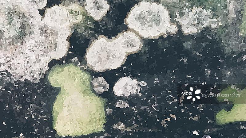 墙上的黑色霉菌图像图片素材