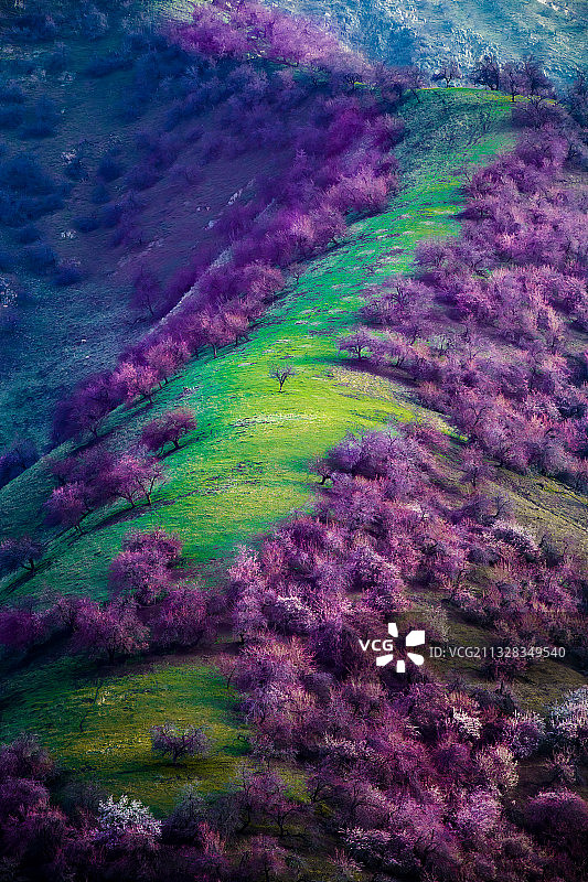 杏花沟图片素材
