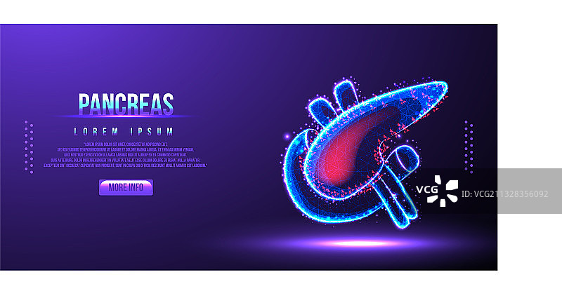 胰腺低多边形线框图片素材