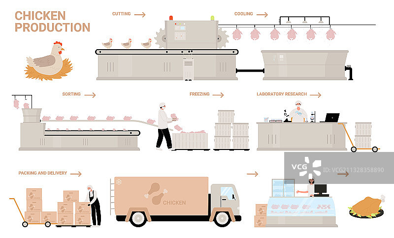 农场养鸡生产过程卡通图片素材