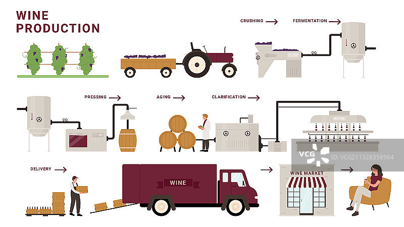葡萄酒生产过程阶段信息图图片素材