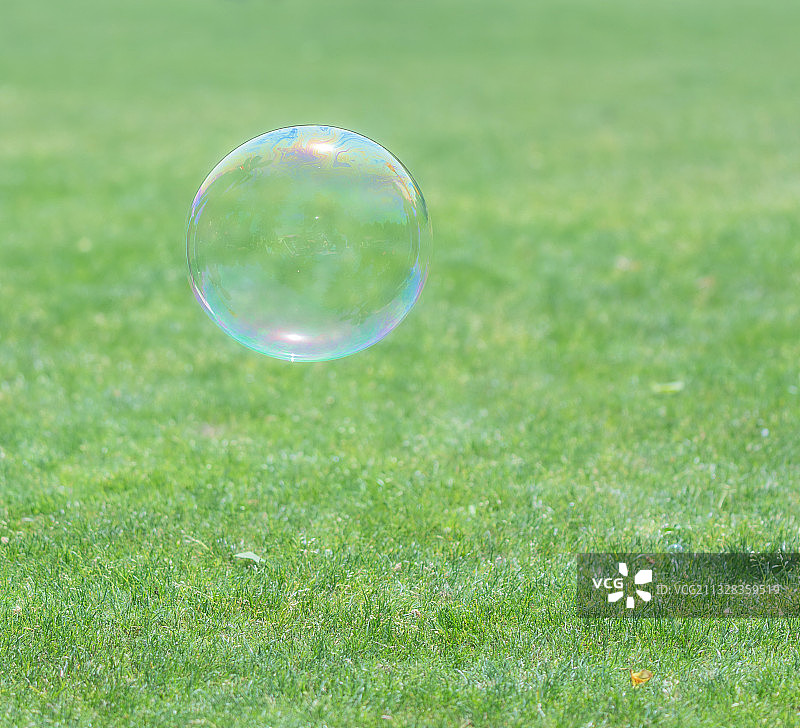 草坪上的泡泡图片素材