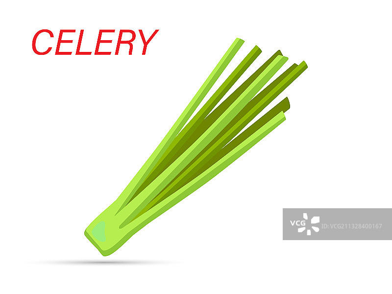 新鲜绿色芹菜图片素材