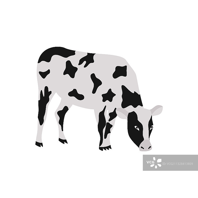 草地上吃草的卡通牛图片素材