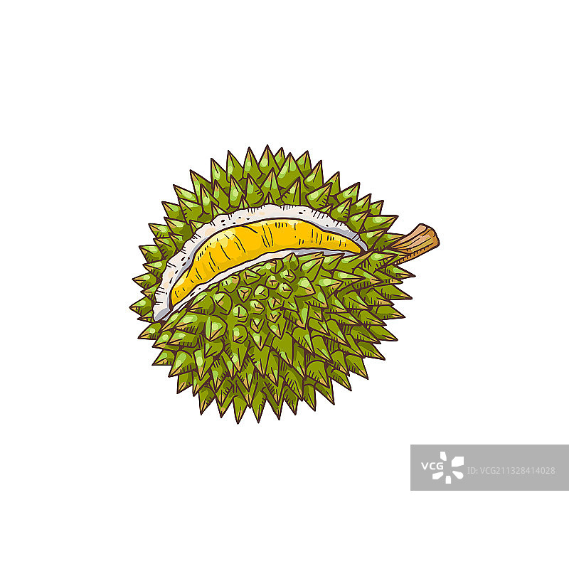 榴莲美味水果卡通手绘图标图片素材